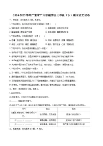 2024-2025学年广东省广州市越秀区七年级（下）期末语文试卷（含详细答案解析）