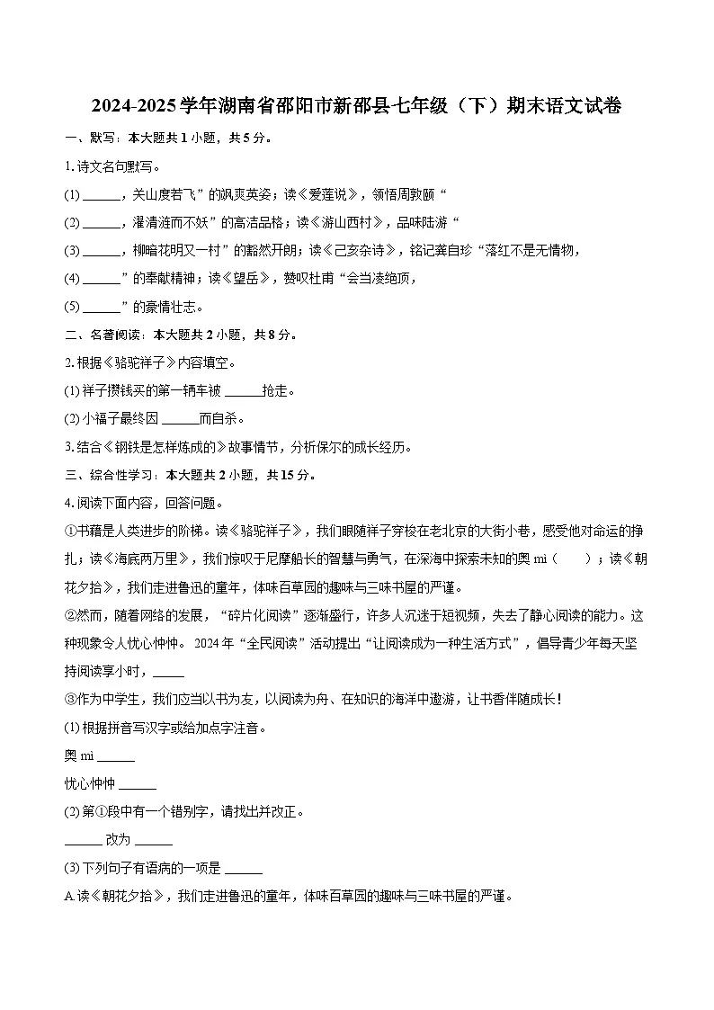 2024-2025学年湖南省邵阳市新邵县七年级（下）期末语文试卷（含详细答案解析）第1页