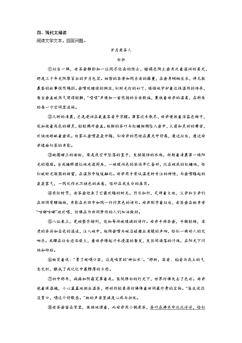 2025年安徽省大联考中考模拟语文试题（附答案解析）第3页