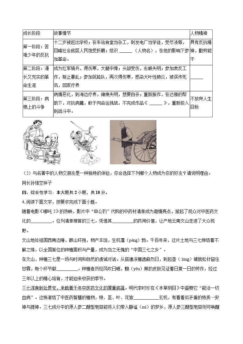 2024-2025学年云南省文山州七年级（下）期末语文试卷(含详细答案解析)第2页