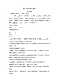 语文人教部编版（2024）回忆我的母亲/朱德同步达标检测题