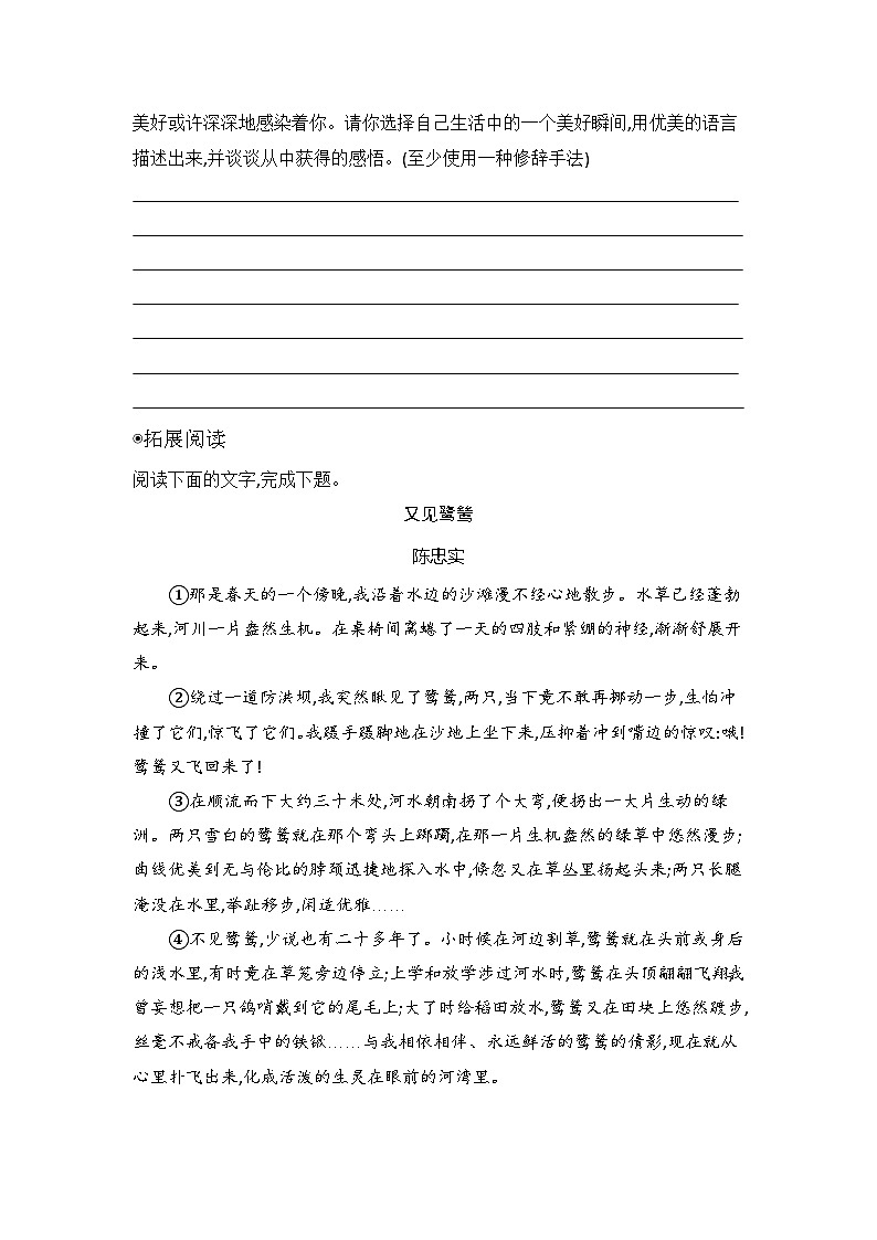 18我的白鸽 同步练习(含答案）统编版语文七年级上册第3页