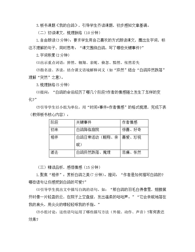 2025—2026年第一学期 部编版 七年级语文上册 第五单元  18我的白鸽  教案第2页