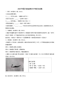 2025年四川省宜宾市中考语文试卷（含详细答案解析）