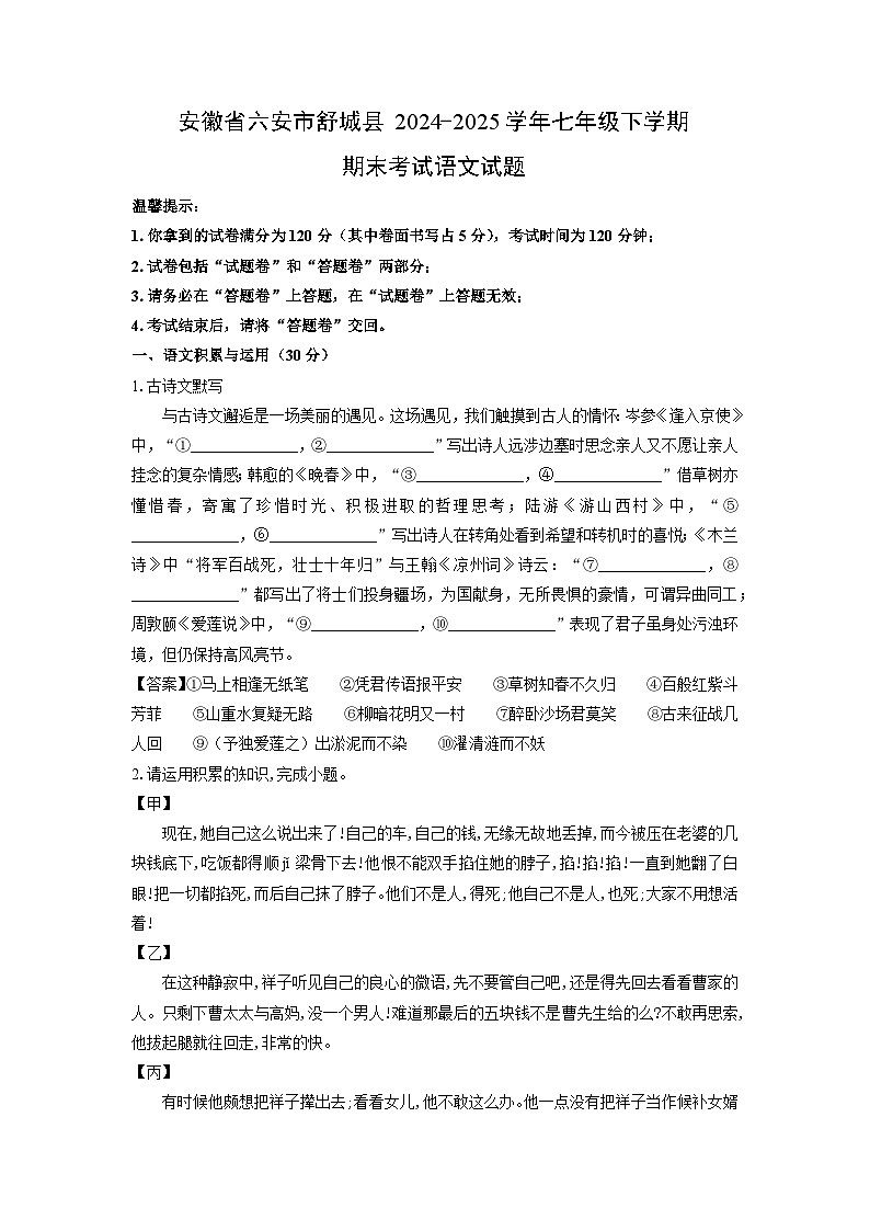 安徽省六安市舒城县2024-2025学年七年级下学期期末考试语文试卷（解析版）第1页