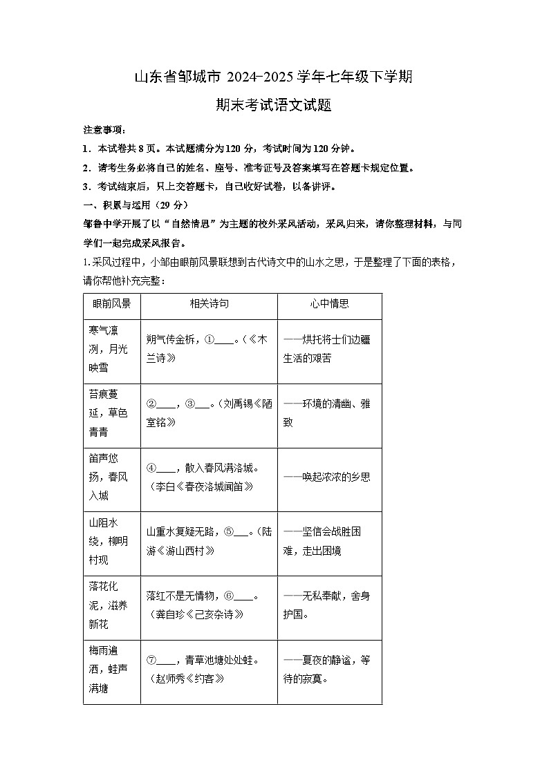 山东省邹城市2024-2025学年七年级下学期期末考试语文试卷（解析版）第1页