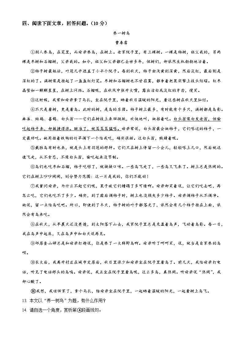 河南省郑州市第七初级中学2025-2026学年七年级上学期开学分班考试语文试题第3页