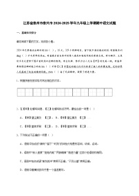 江苏省泰州市泰兴市2024-2025学年九年级上学期期中语文试题（附答案）