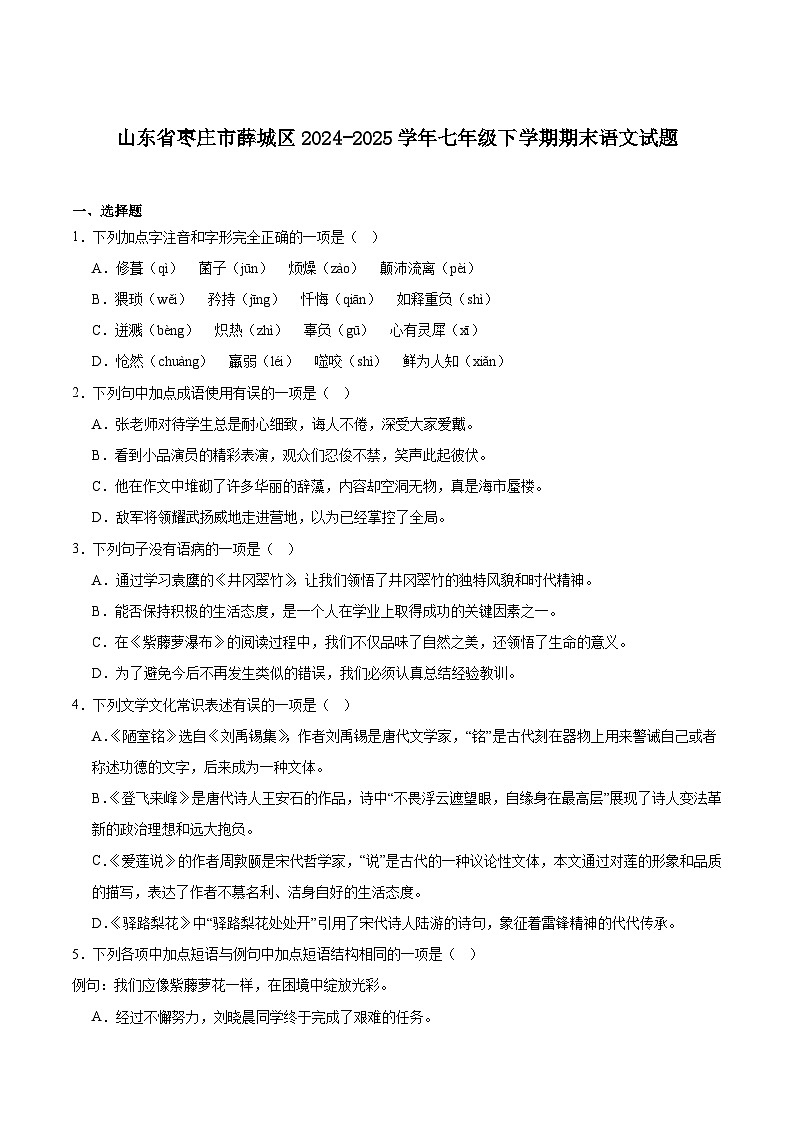 山东省枣庄市薛城区2024-2025学年七年级下学期期末考试语文试题（含答案）第1页