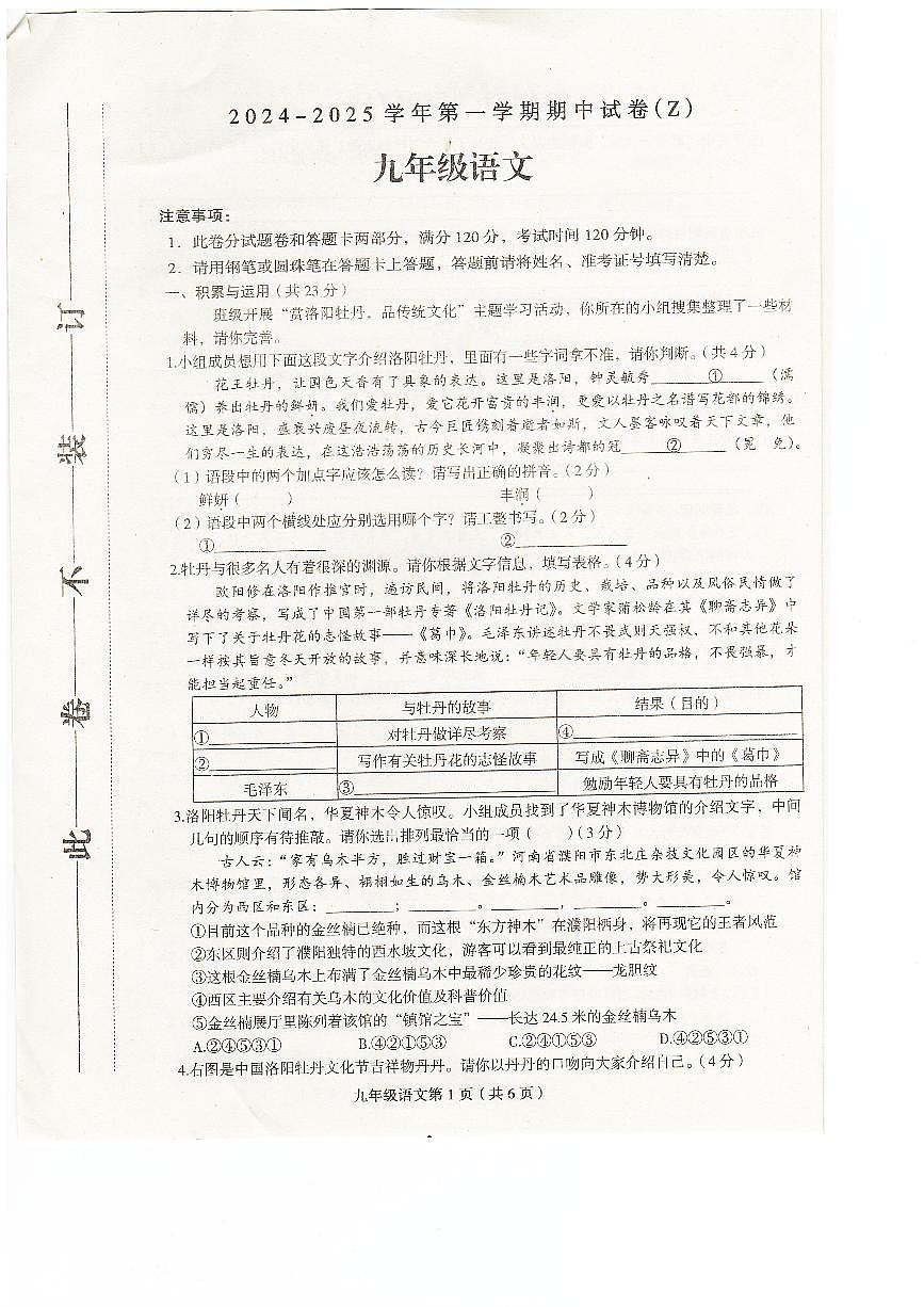 河南省周口市郸城县多校联考2024-2025学年九年级上学期10月期中语文试题第1页
