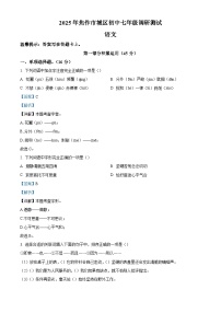 河南省焦作市城区2025-2026学年七年级上学期新生调研测试语文试题（含答案）