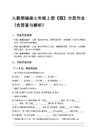 初中语文猫/郑振铎精练