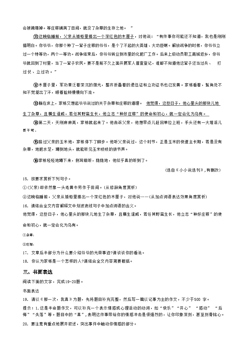 广西南宁市天桃实验学校 2024-2025 学年七年级上学期语文开学分班考试卷第3页
