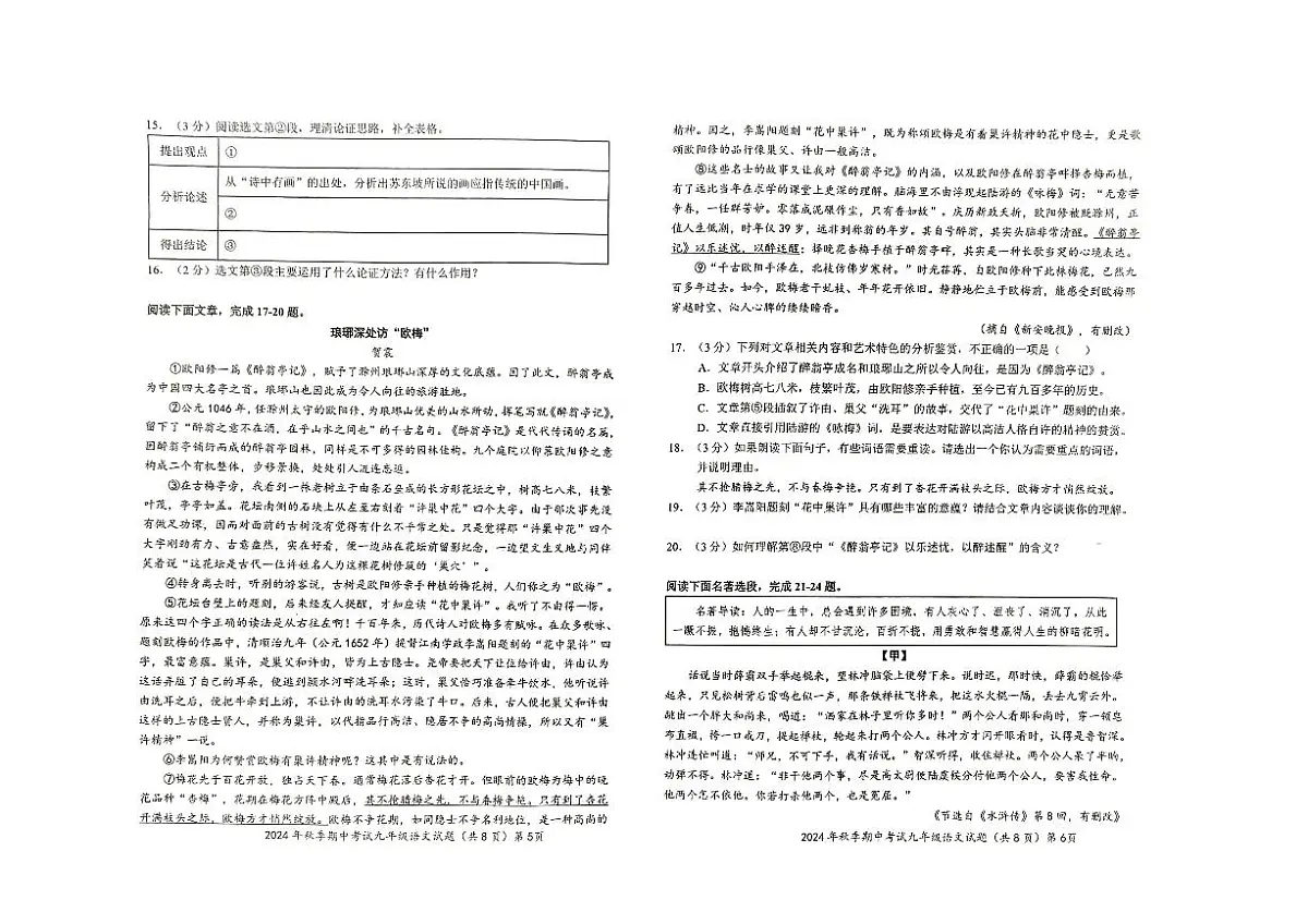 湖北省黄冈市黄梅县部分学校2024-2025学年九年级上学期期中考试语文试题第3页