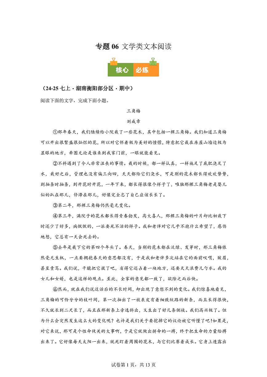 专题06文学类文本阅读（期中真题专题练习 湖南专用）七年级语文上学期【附答案】第1页
