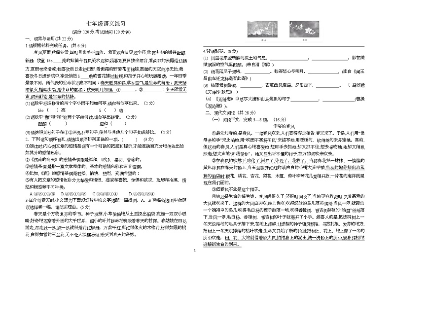 河南省驻马店市第四中学2025-2026学年七年级上学期10月月考语文试题第1页
