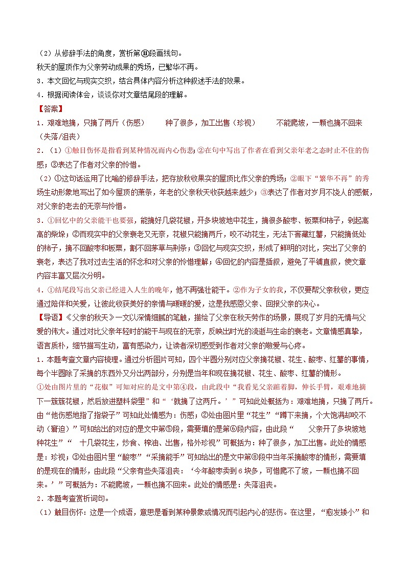 专题07 散文阅读（期中真题汇编，深圳专用）（解析版）第3页