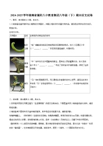 2024-2025学年湖南省衡阳八中教育集团八年级（下）期末语文试卷（含详细答案解析）