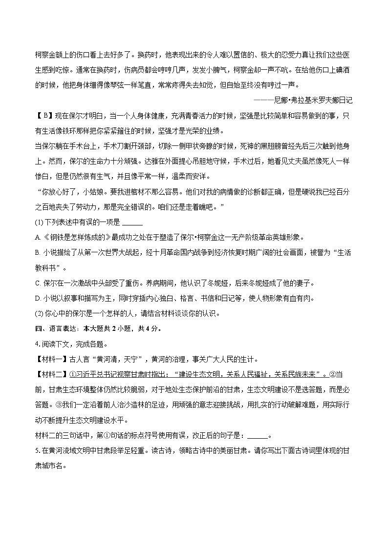 2024-2025学年甘肃省兰州十九中教育集团八年级（下）期末语文试卷(含详细答案解析)第2页