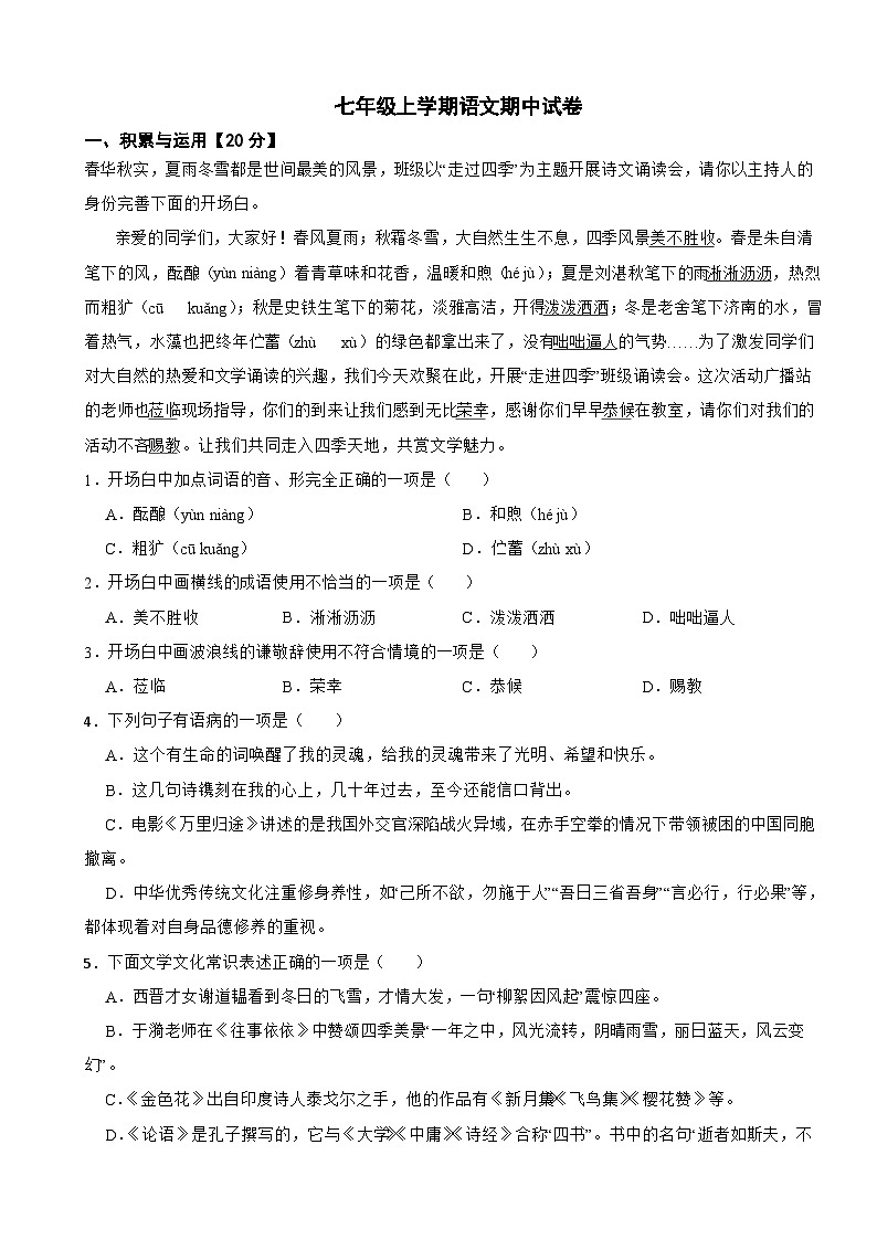 山东省青岛2025年七年级上学期语文期中试卷附答案第1页