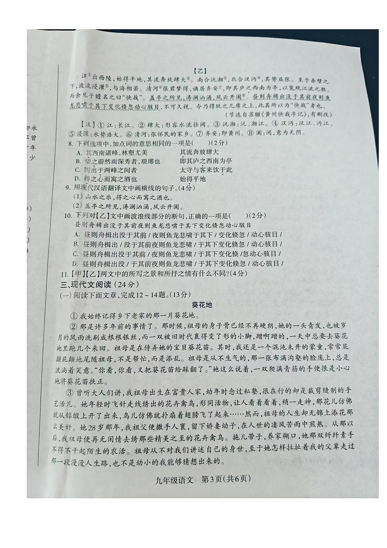 甘肃省兰州市红古区2025-2026学年九年级上学期10月期中语文试题第3页