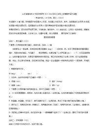 山东省青岛市67所学校联考2025-2026学年七年级上学期期中语文试题（WORD版，含答案）