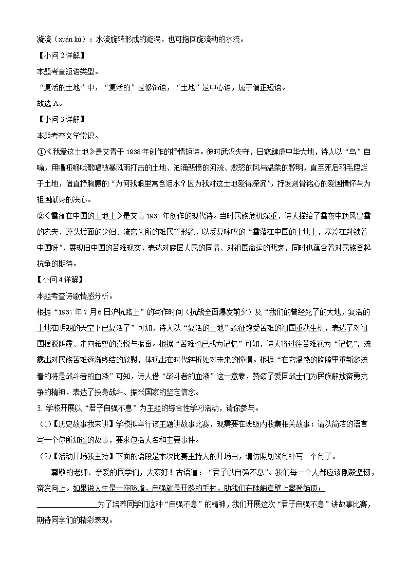 安徽省合肥市蜀山区琥珀教育集团2025-2026学年九年级上学期10月月考语文试题（含答案）（解析版）第3页