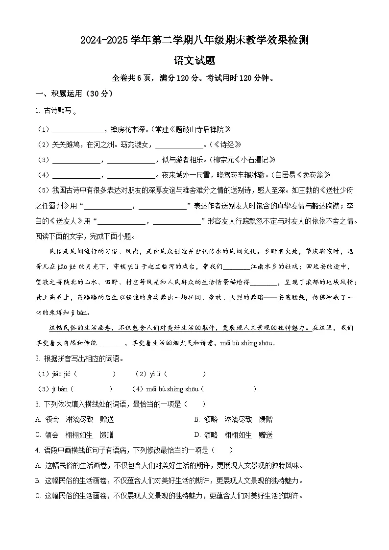 广东省湛江市雷州市2024-2025学年八年级下学期期末语文试题第1页