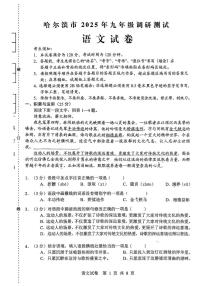 黑龙江省哈尔滨市2025-2026学年九年级上学期期中语文试题