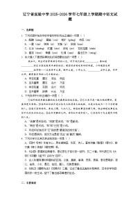 辽宁省实验中学2025-2026学年七年级上学期期中语文试题（含答案及解析）