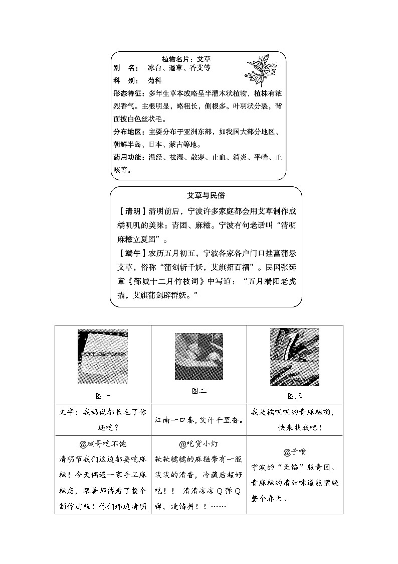 部编版七年级语文下册 第五单元新课标全国命题趋势卷（含答案）第3页