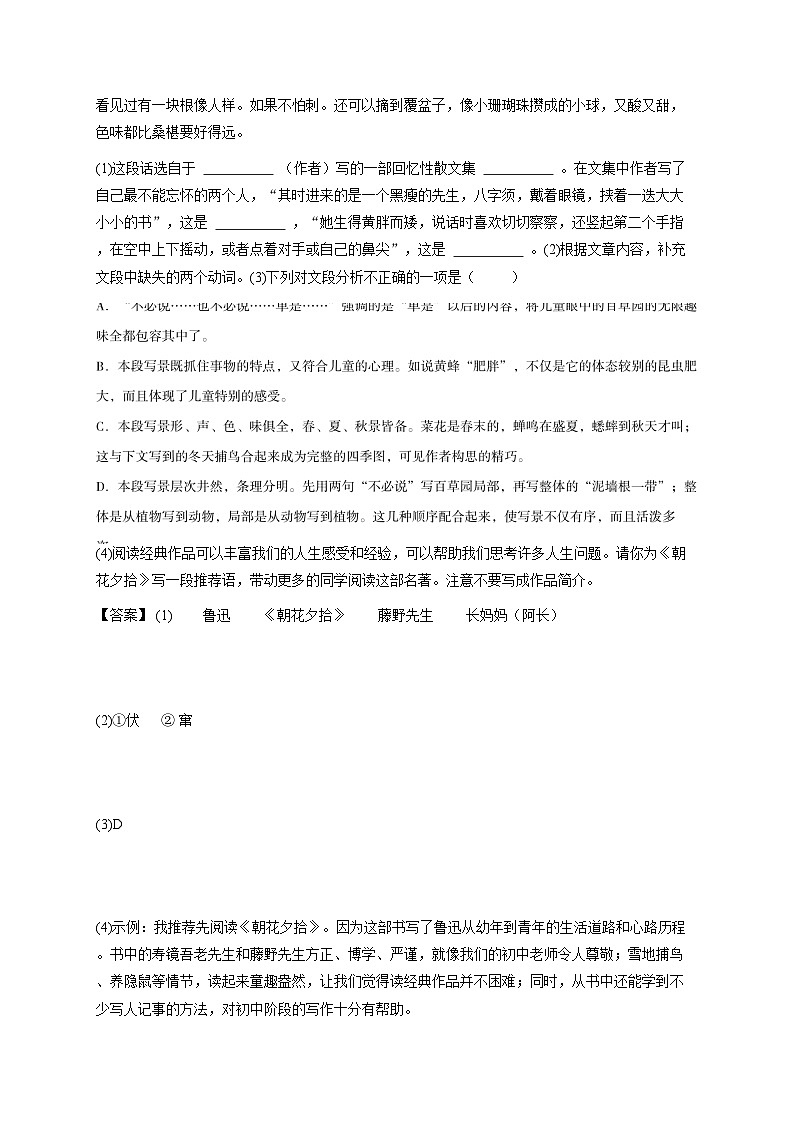 2024~2025学年宁夏银川兴庆区银川市第三中学初一上学期期中语文试卷-教师用卷第2页