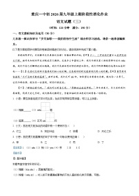 重庆市第一中学校2025-2026学年九年级上学期月考三语文试题（含答案及解析）
