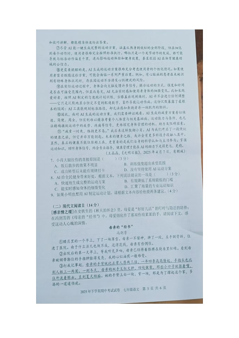 湖南省邵阳市武冈市2025-2026学年七年级上学期11月期中语文试题第3页