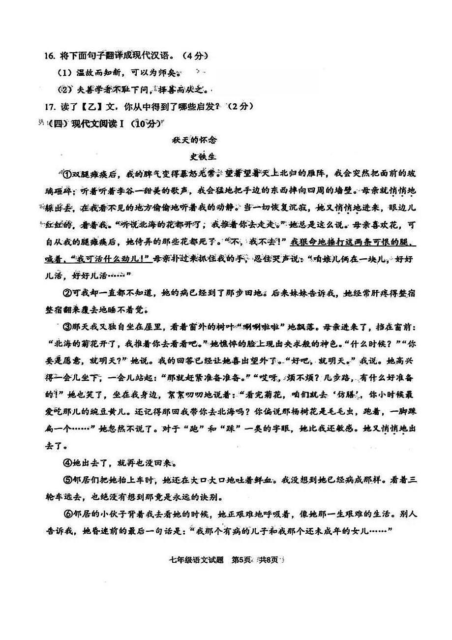 山东省青岛市部分初中学校2025—2026学年七年级上学期期中考试语文试题第3页