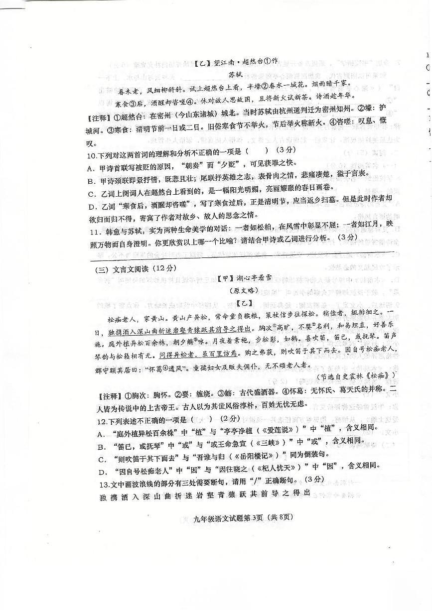 山东省青岛市市南区青岛大学附属中学2025-2026学年九年级上学期11月期中考试语文试题第3页