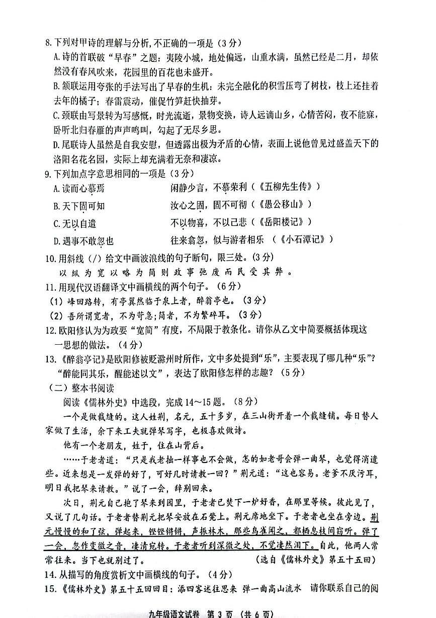 江苏省连云港市灌南县2025-2026学年九年级上学期11月期中语文试题第3页