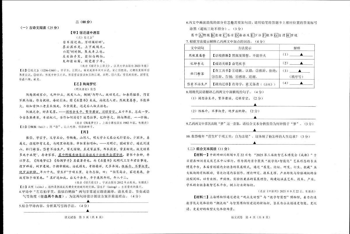 江苏省宿迁市泗阳县2025-2026学年九年级上学期期中学业水平监测语文试卷第2页