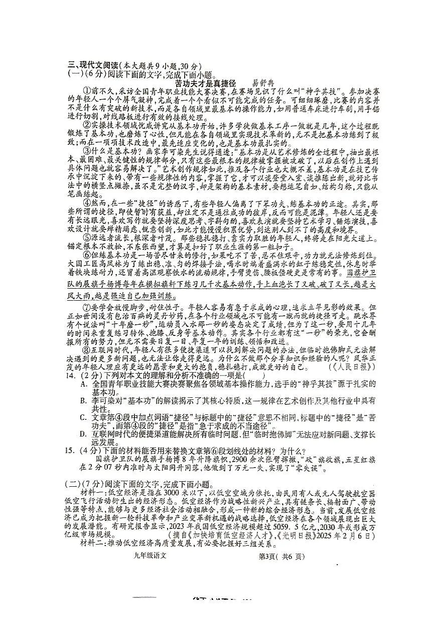 江西省九江市瑞昌市2025-2026学年九年级上学期11月期中语文试题第3页