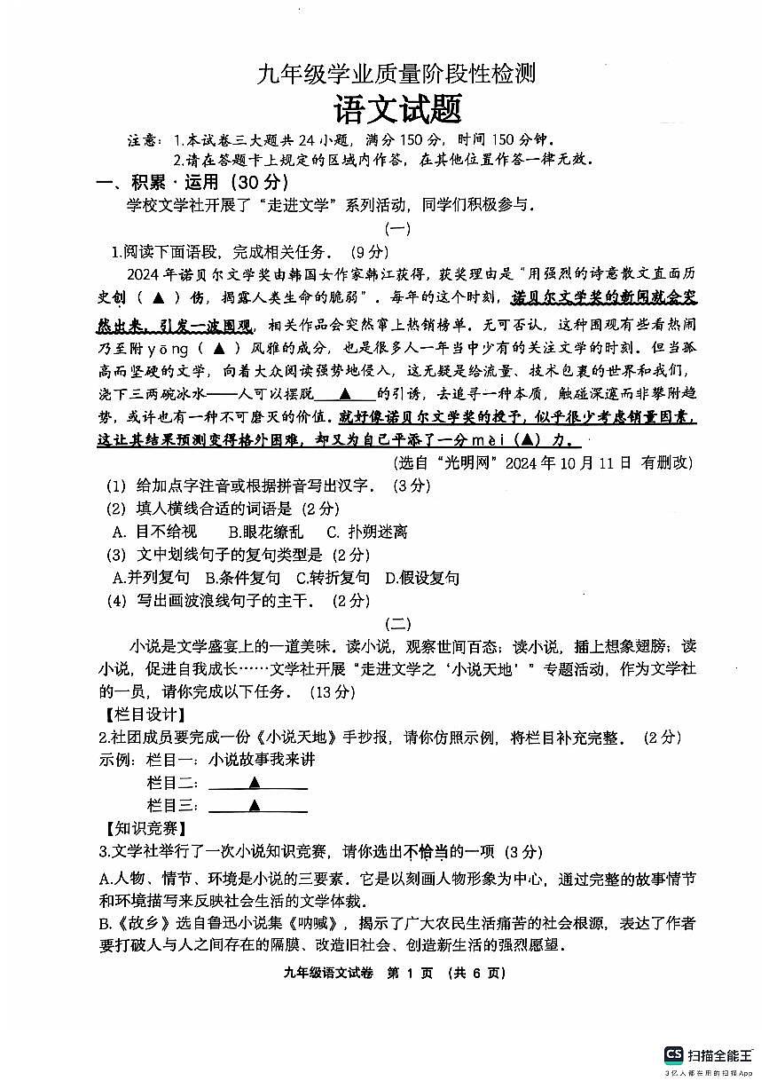 江苏省连云港市灌云县2024-2025学年九年级上学期11月期中语文试题第1页
