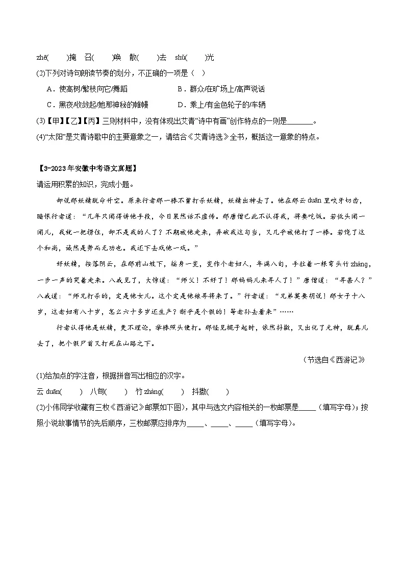 专题02 基础知识考查、名著阅读（安徽专用）（原卷版）第3页