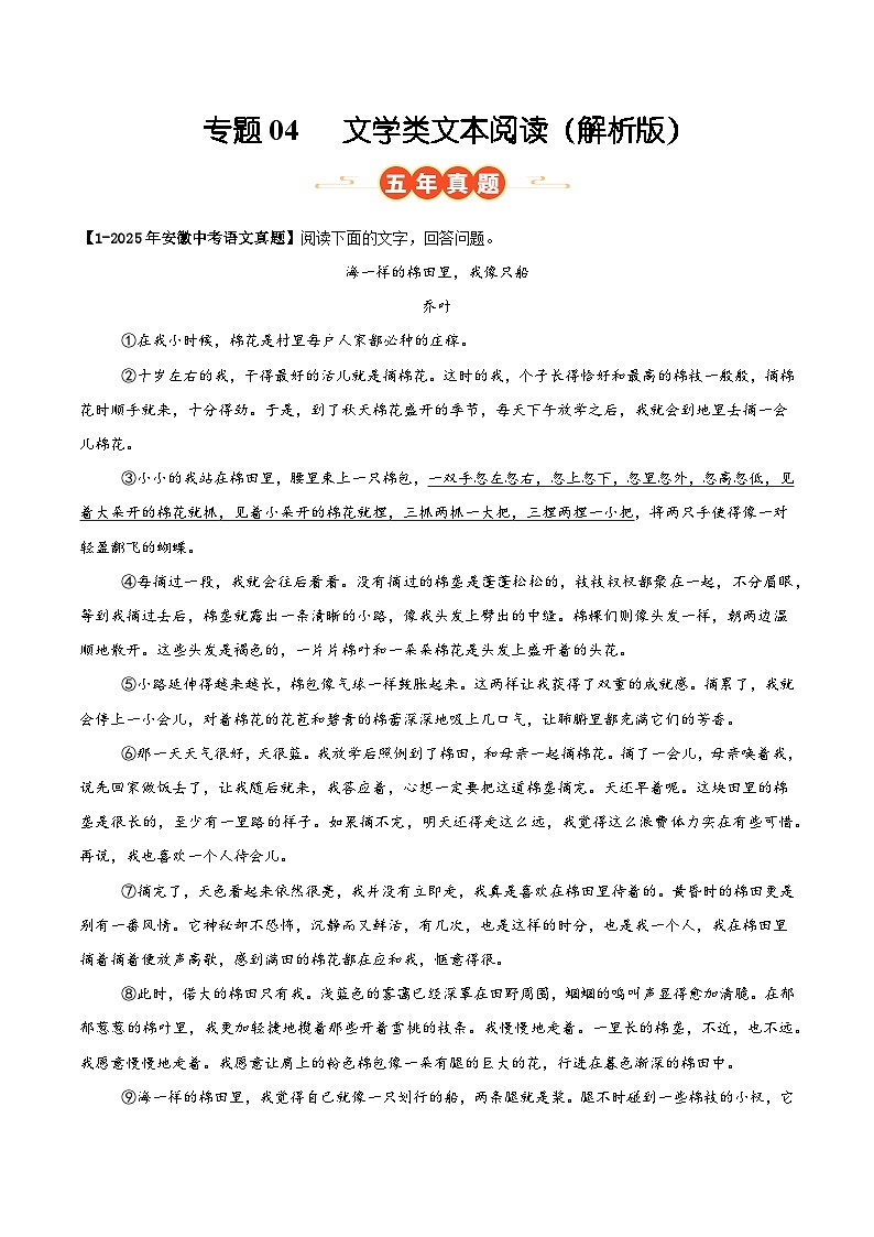 专题04   文学类文本阅读（安徽专用）（解析版）第1页