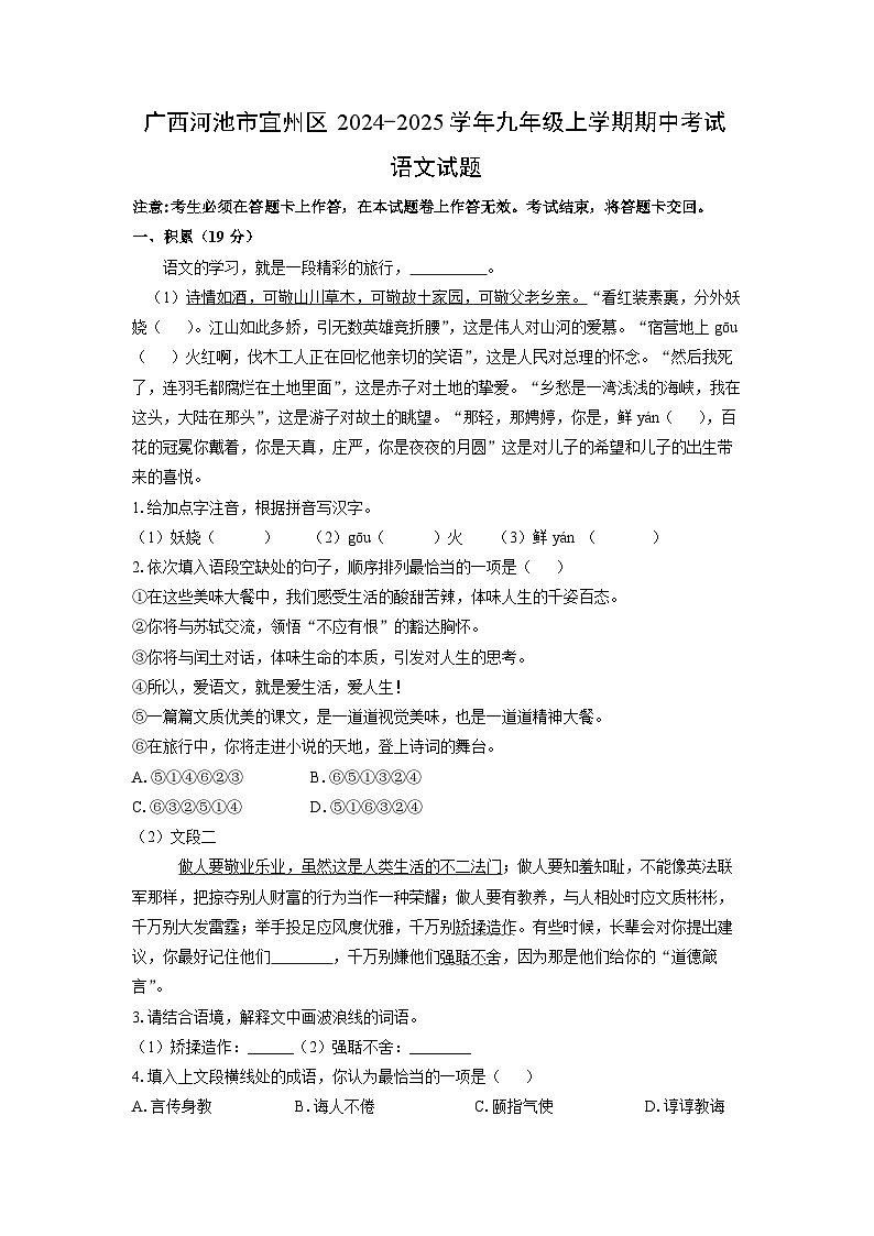 广西河池市宜州区2024-2025学年九年级上学期期中考试语文试卷（学生版）第1页
