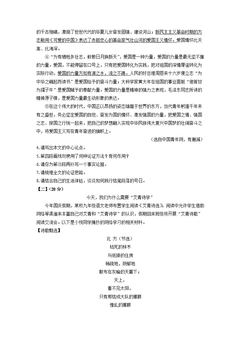 安徽省芜湖市2024-2025学年九年级上学期期中考试语文试卷（学生版）第3页