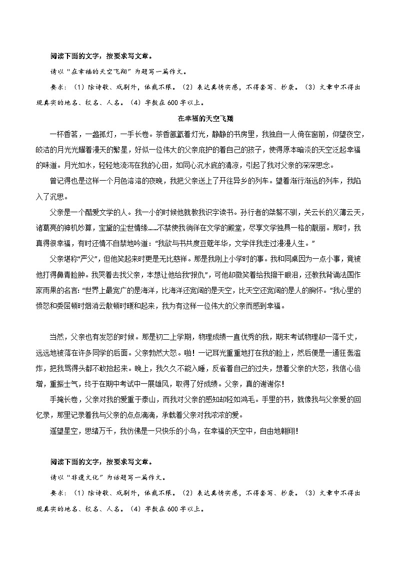 03《碎碎的光阴》《在幸福的天空飞翔》《令我钦佩的陌生人》《留下青春的印记》-2026年中考语文优秀范文讲练（全国通用）第2页