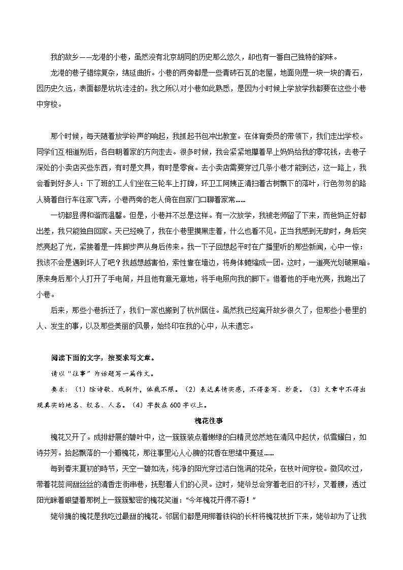 04《青春里的一道光》《故乡的小巷》《与琵琶共赴一场优雅的盛宴》《槐花往事》-2026年中考语文优秀范文讲练（全国通用）第2页