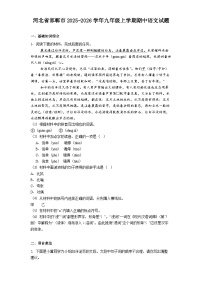 河北省邯郸市2025-2026学年九年级上学期期中语文试题（含答案及解析）
