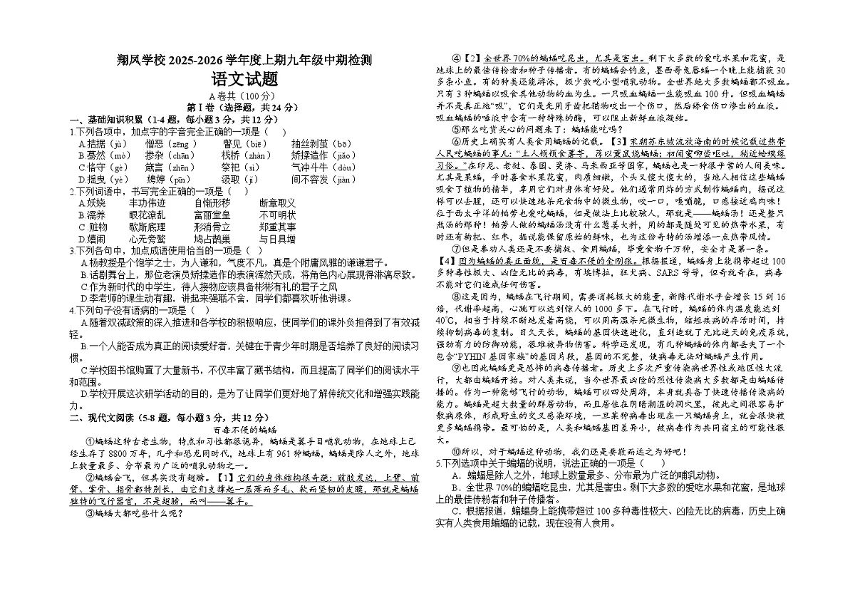 四川省广安市岳池县翔凤学校2025-2026学年九年级上学期期中语文试题（无答案）第1页