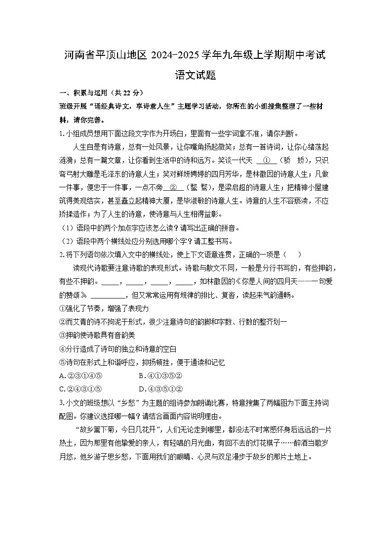 河南省平顶山地区2024-2025学年九年级上学期期中考试语文试卷（学生版）第1页