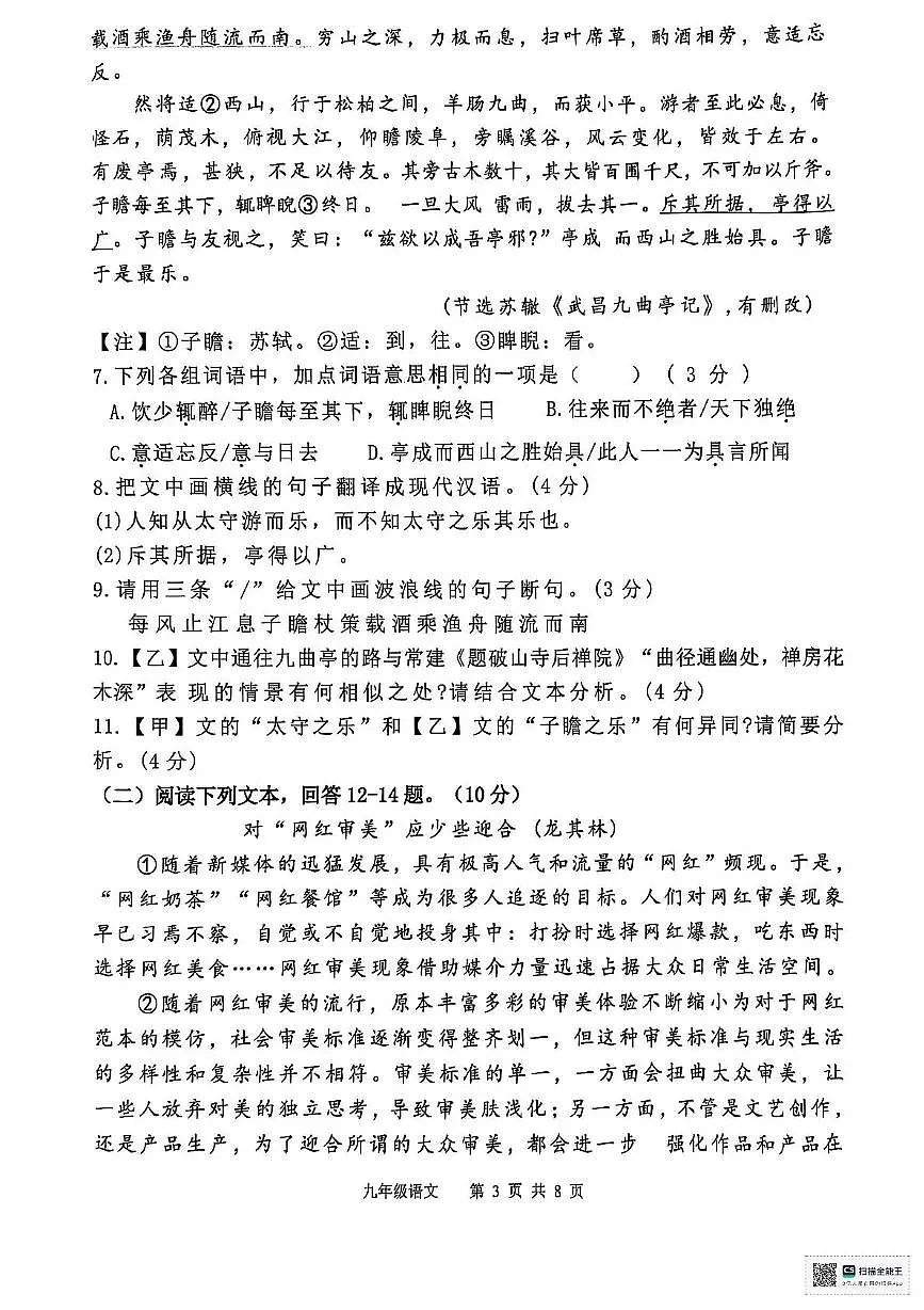 广东省惠州市惠东县2025-2026学年九年级上学期11月期中语文试题第3页